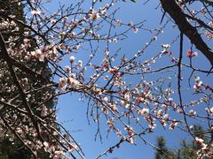 -爱时特套房酒店(会展中心远洋城店)