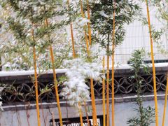-颐和园-画中游