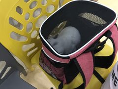 -荔康动物医院(康王北路店)