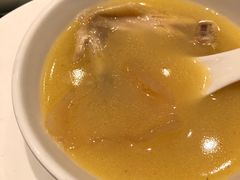 花胶浓汤鸡锅-新一哥粤菜火锅(瑞金店)