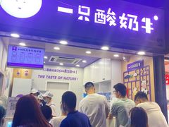 门面-一只酸奶牛(八一路店)