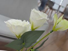 -上海宝诚中环BMW·MINI4S店