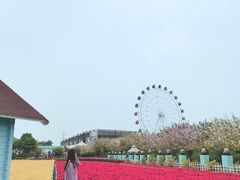 -百万葵园