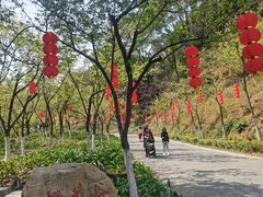 -广州市帽峰山景区
