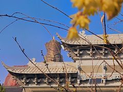 -上海东林寺(金山区)