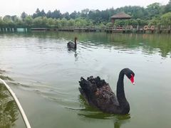 -鄱阳湖国家湿地公园