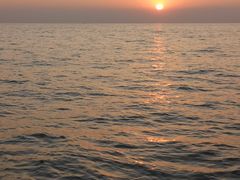 -稻香迎囍皇宫(港惠店)