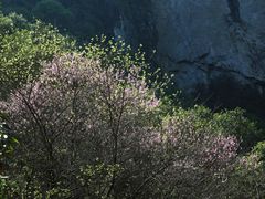 -温州永嘉书院