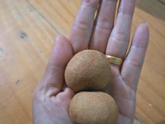 -东方鼎信农副产品交易中心