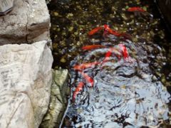 -苏州独墅湖书香世家酒店