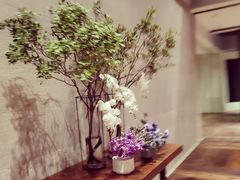 -北京三里屯CHAO酒店