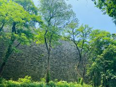 -紫金山天文台