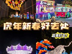 -欢乐海岸椰林沙滩-2025湾区超级灯会