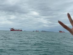 -小猫钓鱼海钓俱乐部(椰梦长廊店)