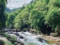 -广州白江湖森林公园