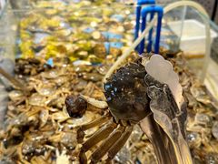 -半岛听涛蒸汽海鲜自助(K11店)