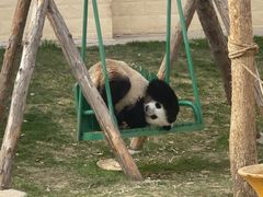 -石家庄市动物园