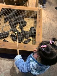 -酷嗒动物文化乐园(cutezoo西溪乐天城店)