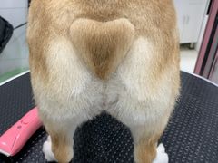 -全心全意连锁动物医院(加州店)