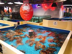 -日进一片海.生腌海鲜火锅.宵夜烧烤(三里屯总店)