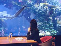 -迪拜帆船酒店海底餐厅