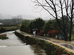 -黟县屏山村