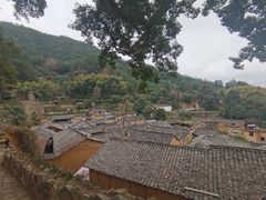 -杨家堂村