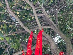 -海宁市观音寺