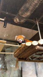 -Zoolung Zoolung动物主题公园(海信广场店)