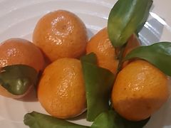 -大鸭梨烤鸭(房山店)