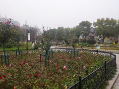 -堤角公园