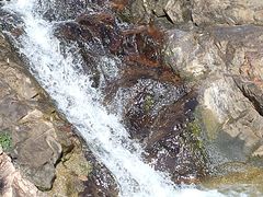 -广州白江湖森林公园