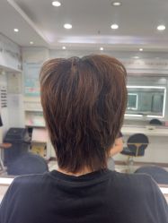 -镁连社·美联社