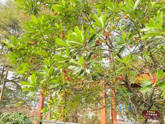 -广州神农草堂中医药博物馆