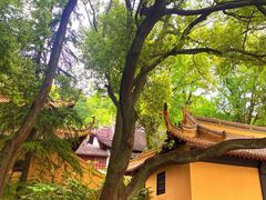 -狼山风景名胜区