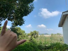 -上海市保健医疗中心