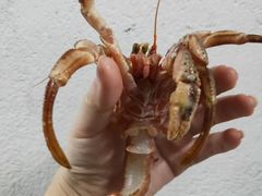 -大连熟食品交易中心