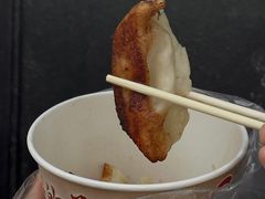 -洋洋锅贴