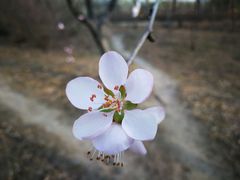 -长春公园(普阳街道)