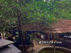 -云涛森林温泉