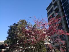 -乌山风景区