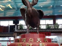 -鹅城