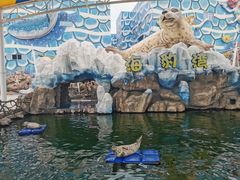 -华夏文旅海洋公园