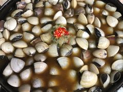 -顺德哥卜卜贝(旗舰店)