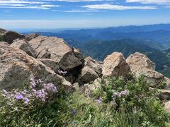 -白草畔自然风景区