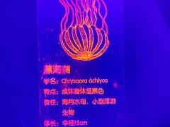 -海合安天津极地海洋公园