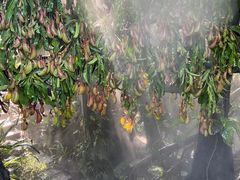-青青世界