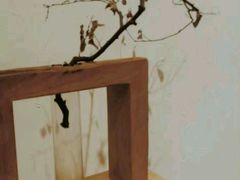 -柴务处·柴犬主题狗咖