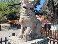 -沈阳市东陵公园