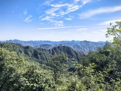 -大岭沟猕猴桃谷风景区